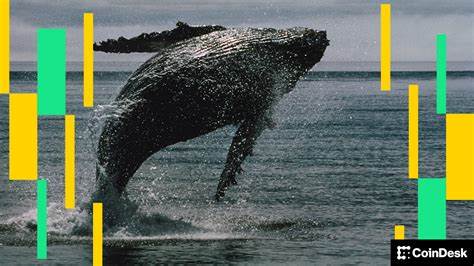 随着以太坊价格跌破4000美元大关,市场遭遇剧烈震荡,主力投资者遭遇巨额亏损,凸显当前数字货币市场风险与机遇共存的复杂局面。本文深入解析以太坊鲸鱼发生巨额亏损的背景、影响及未来市场展望。
