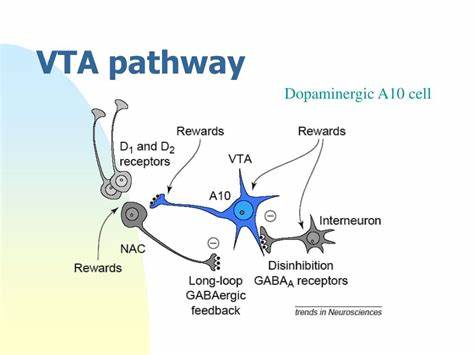 介绍人类A10多巴胺能神经元移植技术在小鼠抑郁症模型中的应用及其对抑郁症状的显著改善,探讨其机制与未来临床潜力,助力抑郁症治疗新方向的开拓。
