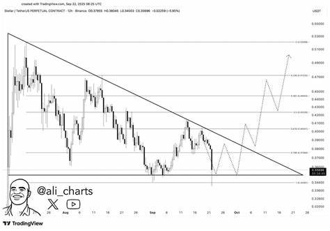 恒星币(XLM)价格近期维持在关键支撑位附近,技术指标显示市场正处于低迷动能阶段。交易者和投资者密切关注未来价格走势,预期可能出现的突破将推动XLM价格达到0.50美元。本文深入分析当前市场形势、技术图表以及未来潜在的价格变动,为读者提供全面的解读与前瞻性视角。
