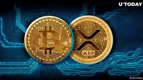 The U.S. Debt Solution? Triblu's Dalton Sees XRP as a Better Bet than Bitcoin - Binance