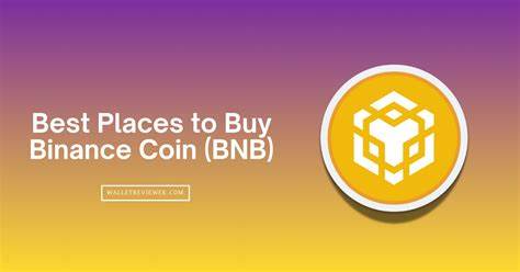 深入探讨币安币(BNB)的市场表现、技术优势及其在加密货币领域的定位,分析当前投资环境下BNB的潜力与风险,为投资者提供全面参考。
