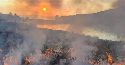 地球的生态系统已面临前所未有的挑战,七个关键行星边界被突破,环境危机加剧。探索当前地球健康的严峻形势及科学家提出的应对策略,理解人与自然的关系以及未来可持续发展的路径。
