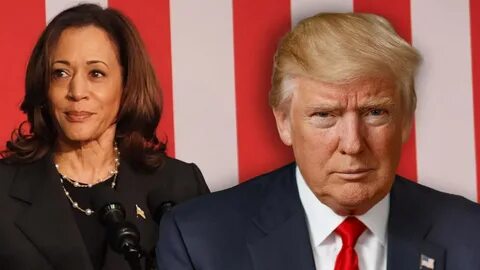 Kamala Harris makes first crypto pledge after Trump’s Bitcoin pitch - MSN