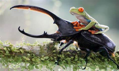 深入探讨银行对账单转换过程中遇到的日期补全难题与代码层面神秘Bug的排查和解决方案,揭示高效处理合并PDF文件日期的实战经验。
