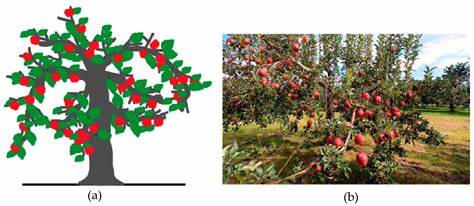 深入解析Jef Raskin关于人性化界面设计的理念及其对现代计算的影响,揭示计算机从商业工具向思维工具转变的艰难历程,以及为何创新的人性化计算仍需在边缘探索。
