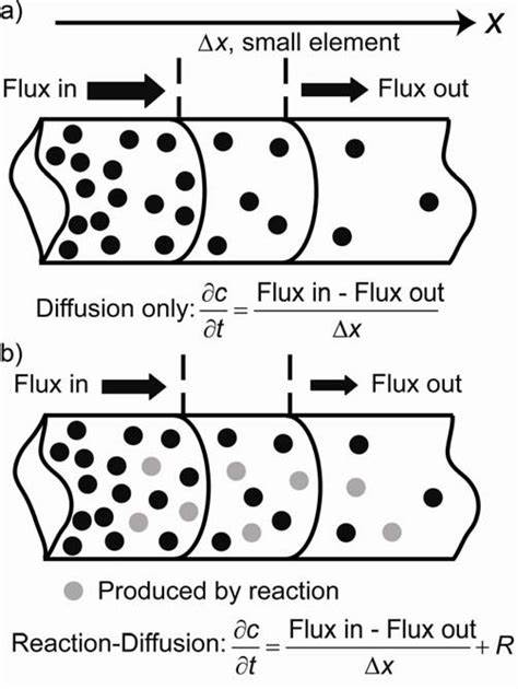 深入了解反应扩散系统在SVG中的实现及其在计算艺术和科学模拟中的应用,揭示这一技术如何结合数学模型与矢量图形,创造出独特且生动的视觉效果。
