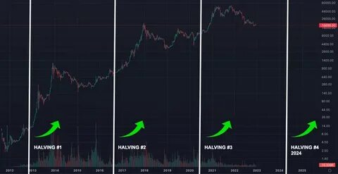 Bitcoin Is at $750! It's the Longest Rally Since 2013 Boom - Inverse