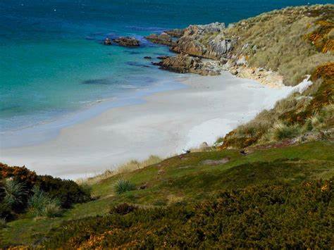 深入探索福克兰群岛的独特魅力,从自然风光到丰富的野生动植物,了解这个南大西洋珍宝的必访景点和体验,助力您的旅行计划更加完美。

