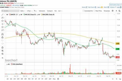 深入探讨全球包装巨头安科尔(Amcor)股票在材料行业中的表现,结合市场数据和财报信息,揭示其股价走势、行业地位及未来前景,为投资者提供全面参考。
