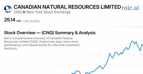 加拿大自然资源公司(CNQ):以稳健现金流支撑的高股息能源股深度解读
