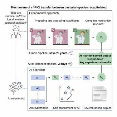 随着人工智能技术的迅猛发展,其在生物医学领域的应用日益广泛。近日,AI通过模拟实验科学方法,成功预测并解释了一种关键的细菌基因转移机制,为理解细菌进化和抗药性传播提供了全新视角,也彰显了AI在生命科学研究中的创新潜力。本文深入探讨人工智能如何成为实验科学的有力助手,揭示细菌基因转移的复杂过程,推动微生物学领域的发展。
