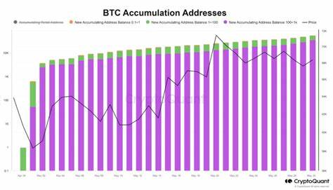 Bitcoin long-term holders resume accumulation for the first time since December: Bitfinex - Crypto Briefing