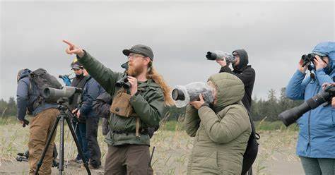 探讨观鸟作为日益流行的休闲活动如何演变为庞大的经济力量,分析消费结构、地区案例、生态与社区影响,并提出可持续观鸟与保护相结合的实践建议
