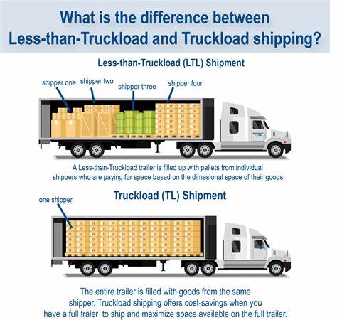 TL carrier Pamt books another loss in Q1