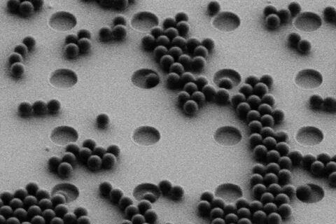 纳米塑料作为环境污染的新焦点,其检测一直面临技术难题。近期科研团队开发出的新型光学筛网技术,利用普通显微镜即可识别并分类纳米塑料颗粒,为环境监测和健康风险评估提供了革命性工具。本文深入解析了纳米塑料的危害、传统检测方法的不足以及这项创新技术的原理与应用前景。
