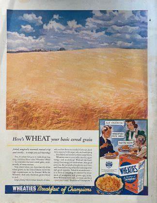 随着美国玉米和大豆丰收的前景逐渐显现,粮食期货市场正面临显著的收获压力。本文深入分析了这一趋势背后的原因,以及投资者为何需要采取谨慎乐观的态度应对市场变化。
