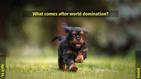 从curl到全球影响力:Daniel Stenberg与"意外的世界统治"之路
