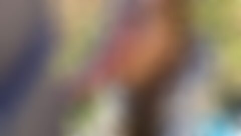 围绕XVIDEOS上搜索关键词"xxx"并展示的第一页内容,从平台机制、用户行为、法律与伦理风险、隐私安全到网站优化与合规建议,提供全面的背景解读与实用建议,帮助研究者、家长与站长理性了解与应对相关问题
