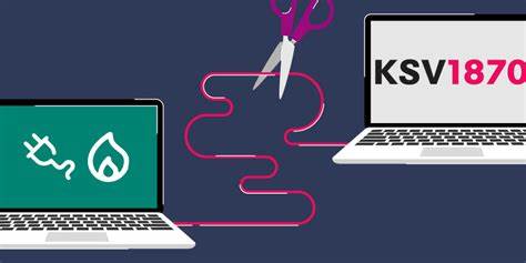 noyb胜诉:奥地利监管机构禁止KSV1870非法自动化信用评分的深度解读
