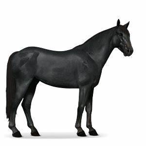 探索Howrse平台的丰富功能和独特体验,了解如何免费创建虚拟马匹,选择理想马种与皮毛,并掌握最佳玩法技巧,尽享真实马术竞技的乐趣。
