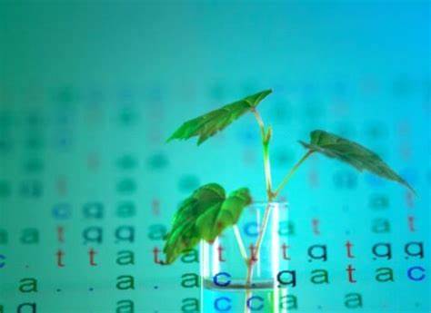 随着人类技术的进步,灭绝物种的复活成为科学与公众关注的热点话题。然而,植物的灭绝复活并非真正可行,保护现存植物的重要性远超幻想的复活技术。本文深入探讨灭绝复活与保护的区别,强调及时保护植物多样性的紧迫性及有效手段。
