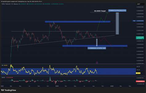 Pepe币近期呈现出罕见的上升三角形技术形态,技术分析显示这可能引发高达300%的价格突破。本文深入解读Pepe币的市场走势、技术信号及未来增长潜力,探讨其如何成为加密投资者的潜力资产。
