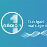 全面介绍Rádió 1在匈牙利的FM频率覆盖、代表性节目、收听方法与信号优化建议,帮助听众在旅行或日常中轻松找到并稳定收听频道
