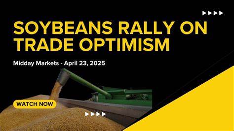 大豆市场在周五中午呈现强劲反弹态势,尽管美国农业部报告显示大豆库存有所提升,但市场反应积极,主要受多个因素影响,包括产量调整、出口销售以及全球库存变化。深入分析当前大豆供需格局及其对价格走势的影响,为投资者和产业链相关人士提供权威解读。
