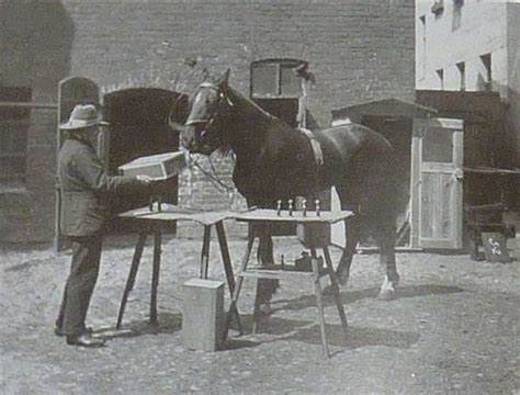 探索"聪明的汉斯"现象与大型语言模型(LLMs)表面智能之间的联系,深入剖析为什么这些模型并没有真正理解语言和规则,而仅仅是高度复杂的模式匹配产物。
