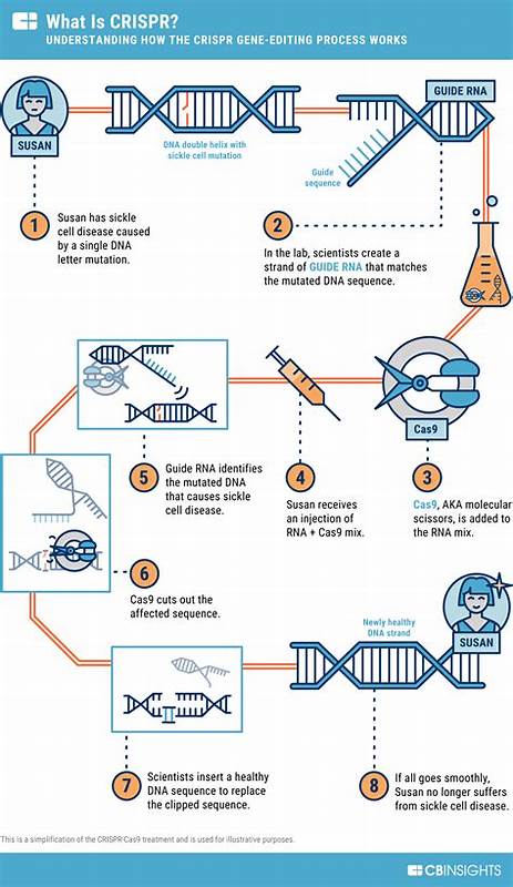 探讨基因编辑技术CRISPR在阿尔茨海默病治疗中的潜力、科学机制、临床进展与伦理监管,分析技术瓶颈与未来发展方向,帮助读者了解基因疗法如何与传统疗法协同推进神经退行性疾病治疗。
