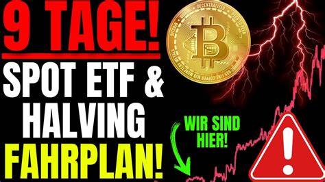 Bitcoin-Höhenflug: Halving-Rallye zum neuen Allzeithoch kommt! – Experten