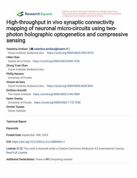 神经科学的关键在于揭示神经网络中的突触连接及其功能关系。采用光遗传学结合压缩感知技术,实现体内高通量、高精度的突触连接图谱绘制,为理解脑结构与功能的相互作用提供了崭新视角与方法。本文深入探讨该技术的原理、优势及应用前景。
