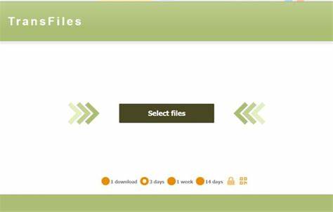 深入探讨如何创建一个简单高效的免费文本和文件共享网站,兼顾用户隐私与便利,提升网络信息交流的自由度和安全性。
