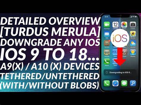 探讨适用于A9至A10X芯片设备的iOS降级工具turdus merula,揭示其功能优势、使用技巧以及遇到的常见问题,助力用户轻松实现多版本iOS系统切换与维护。

