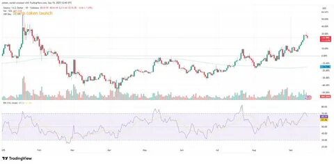 随着Solana生态系统宣布成功筹集5亿美元资金,Helius股价大幅上涨141%,显示出市场对区块链技术和Solana未来发展的高度信心。本文深入解析此次融资事件的背景、影响及Solana生态的未来展望。
