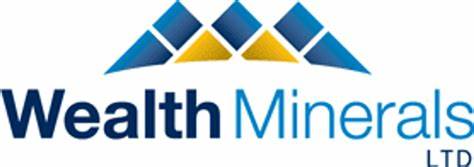 对Wealth Minerals拟通过收购取得安达科洛Oro(金矿)项目100%无版税权益的深入梳理,涵盖项目历史产能、资源估算、现有许可与基础设施、交易条款、后续勘探开发思路及潜在投资与环境政治风险评析
