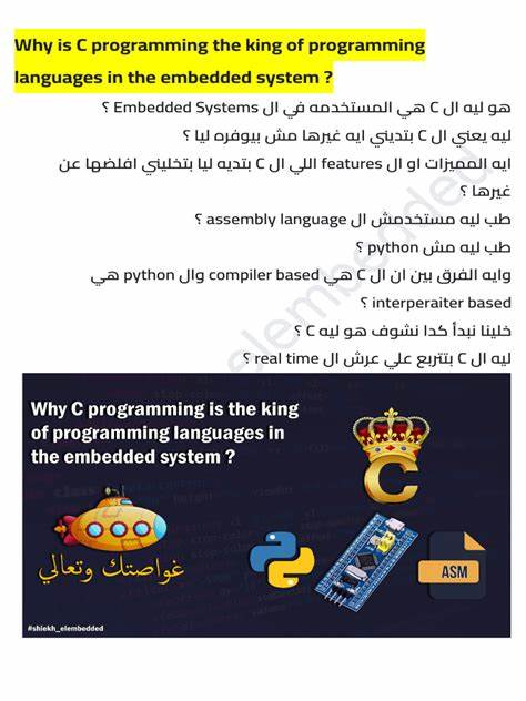 探索1993年被誉为"编程语言之王"的传奇语言及其对计算机科学发展的深远影响,深入解析其技术特点、应用领域以及时代背景,助您全面了解编程语言的演变历程。
