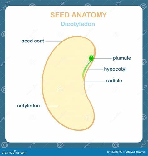 介绍 Radicle 1.5.0(代号 Hibiscus)的核心改进、安装与迁移建议、对开发流程和工具互操作性的影响,以及常见问题与故障排查要点,帮助开发者与运维快速上手并平稳过渡。
