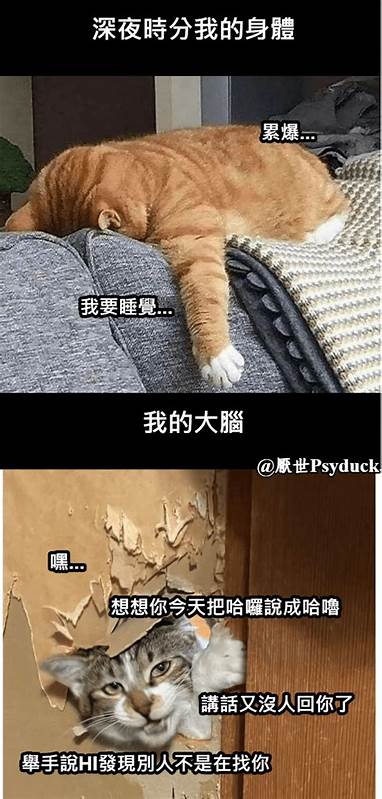 深入解析EMO文化中的各种有趣梗,揭示其背后的情感表达与网络传播现象,带你了解为何这些梗在年轻人群中广受欢迎以及对现代亚文化的影响。
