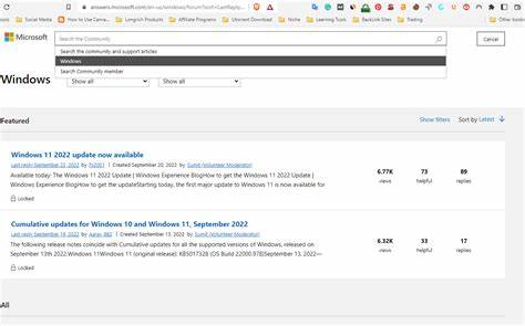 面向Windows 11用户的实用指南,系统讲解如何识别占用磁盘的原因、安全释放存储空间、处理需要管理员权限的操作,以及如何在微软社区或官方支持处高效求助并获得准确解决方案

