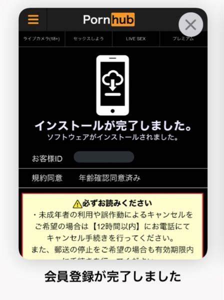 针对在访问成人网站时出现"您是否已满18岁?"之类的弹窗,误点后被提示注册成功并出现高额索赔信息的常见情形,提供辨别真伪、技术与法律应对、未成年人和家长的处理建议以及预防措施,帮助尽快止损并保护隐私与设备安全。
