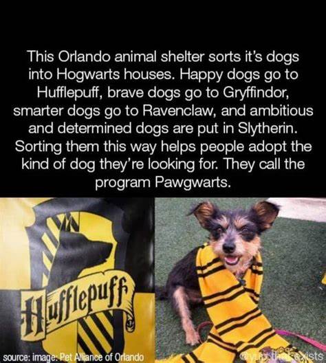 深入探讨iLovePDF平台的强大功能及其在日常办公和学习中的实际应用,揭示其如何帮助用户简化PDF文件处理,提高工作效率,成为不可或缺的数字工具。
