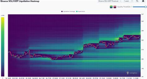 本文深入探讨Solana目前面临的关键阻力位239美元,分析市场结构、资金动向和大户持仓情况,解读潜在的价格调整风险及后续上涨前景,为投资者提供全面参考。
