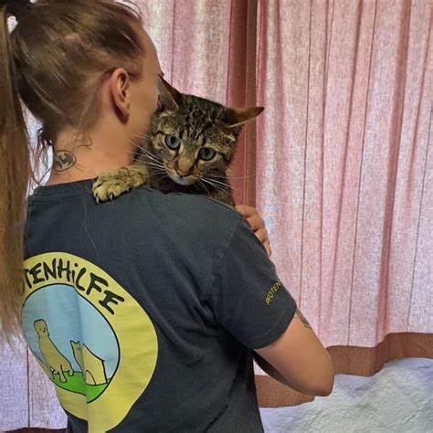 本文详细介绍了奥地利Pfotenhilfe Lochen动物保护中心的运作理念与实践经验,探讨了为何帮助年长动物同样重要,揭示了动物保护组织在社会中的关键作用与挑战。了解如何通过领养、捐助等方式为流浪动物提供温暖的家园。
