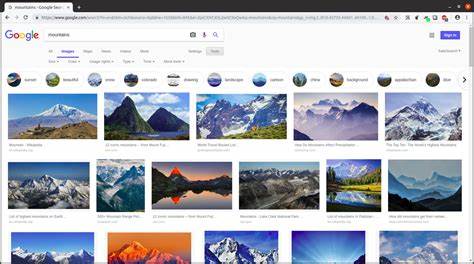 掌握Google 图片搜索:从优化到合规的全面指南
