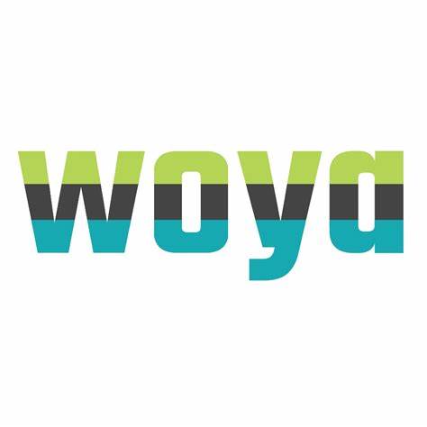 Woya Digital通过AI驱动的SEO、数字公关及转化率优化策略,帮助美容诊所在竞争激烈的市场中脱颖而出,实现客户引流和营收增长,推动数字化转型升级。本文深入解析其策略与成果,彰显数字营销新趋势。
