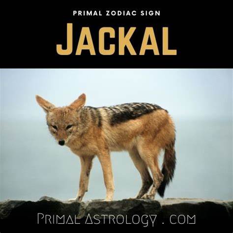 黄道猎犬,作为黄道十二星座中的独特象征,融合了古老传说与现代天文知识,代表着勇气、智慧与变化的力量。了解黄道猎犬的起源、文化意义以及它在星象学中的体现,能够帮助人们更深入地理解宇宙与生命的联系。
