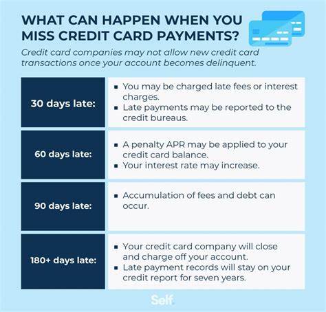 What happens if you stop paying your credit cards?
