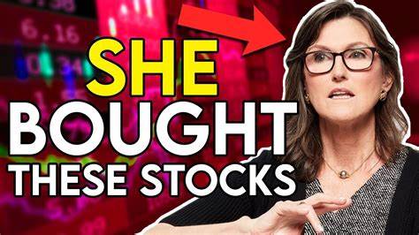 探索Cathie Wood近期增持百度股票背后的投资逻辑,剖析百度在AI芯片限制环境下的市场机遇及财务表现,解读为何这家中国领先的搜索引擎公司或成为未来科技投资的潜力股。
