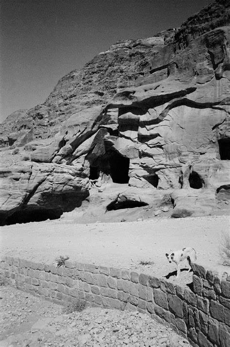 深入解析2023年创新升级的Emacs GTD流程,从核心目录管理到智能任务安排,助力用户实现高效信息管理与行动执行。探索org-roam、PARA结构、Resonance日历等关键玩法,提升个人生产力和知识管理能力。
